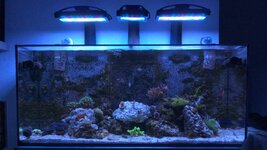 HighResAquarium2 - 00000001.jpg