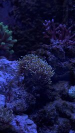 HighResAquarium2 - 00000002.jpg