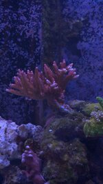 HighResAquarium2 - 00000004.jpg