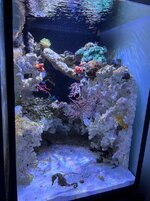 IMG_1770.jpeg