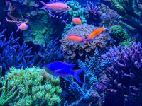 IMG_4205.jpeg IMG_4205.jpeg