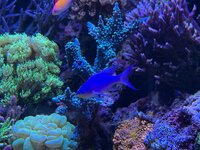 IMG_4204.jpeg IMG_4204.jpeg