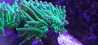 20260719_114649.jpg