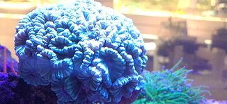 20260719_114703.jpg