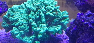 20260719_114838.jpg