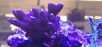 20260719_114805.jpg