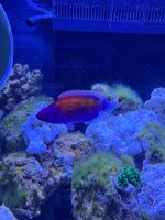 IMG_3622.jpeg