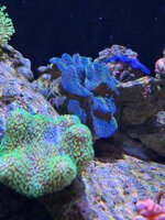 IMG_1906.jpeg