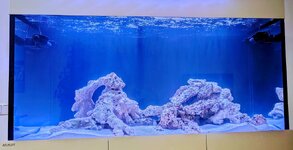 PXL_20250726_110311749~2.jpg