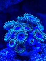 20260720_225055.jpg