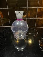 IMG_6520.jpeg