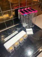 IMG_6510.jpeg
