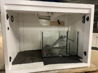 IMG_6080.jpeg