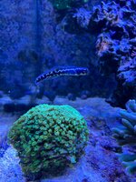 IMG_1500.jpeg
