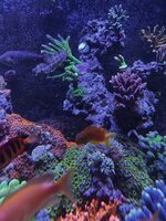 IMG_1492.jpeg