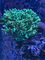 IMG_1502.jpeg