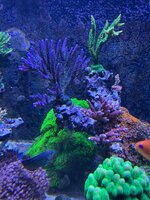 IMG_1497.jpeg