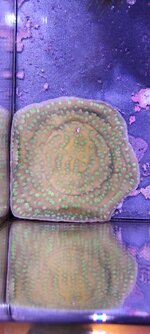20240120_175006.jpg