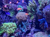 IMG_4243.jpeg IMG_4243.jpeg