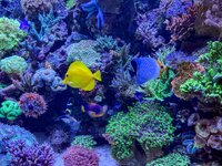 IMG_4247.jpeg IMG_4247.jpeg