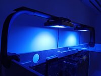 20260802_143313.jpg