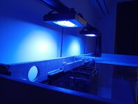 20260802_143551.jpg