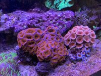 IMG_8455.jpeg IMG_8455.jpeg
