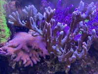 IMG_8456.jpeg IMG_8456.jpeg