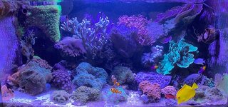 IMG_8516.jpeg IMG_8516.jpeg