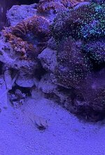 IMG_8546.jpeg IMG_8546.jpeg