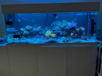IMG_0124.jpeg