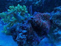IMG_0127.jpeg