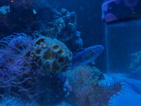 IMG_0128.jpeg