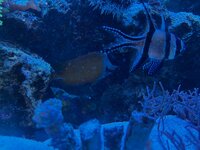 IMG_0131.jpeg