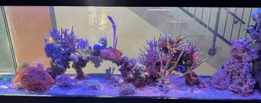IMG_4531.jpeg IMG_4531.jpeg
