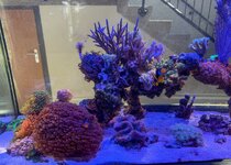 IMG_4532.jpeg IMG_4532.jpeg