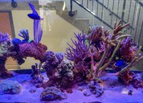 IMG_4533.jpeg IMG_4533.jpeg