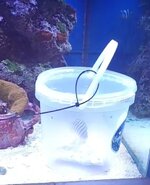 1000120661.jpg 1000120661.jpg