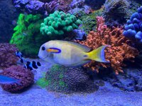 IMG_1556.jpeg