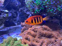 IMG_1566.jpeg