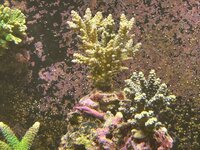 IMG_1552.jpeg