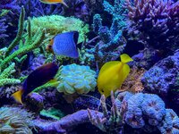 IMG_4588.jpeg IMG_4588.jpeg
