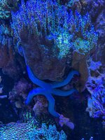 IMG_4586.jpeg IMG_4586.jpeg