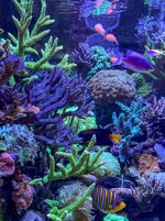 IMG_4498.jpeg IMG_4498.jpeg
