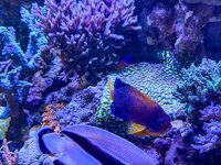 IMG_4492.jpeg IMG_4492.jpeg