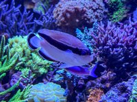 IMG_4491.jpeg IMG_4491.jpeg