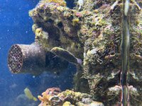 IMG_2276.JPEG