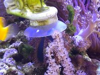 20260821_155416.jpg