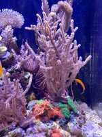 20260821_201648.jpg