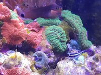 20260821_201712.jpg